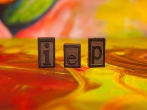Do Not Go to an IEP or 504 Meeting Alone!